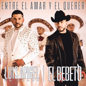 亚洲第一成年人网站
